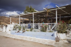 The tasting room at the winery.